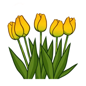 郁金香png