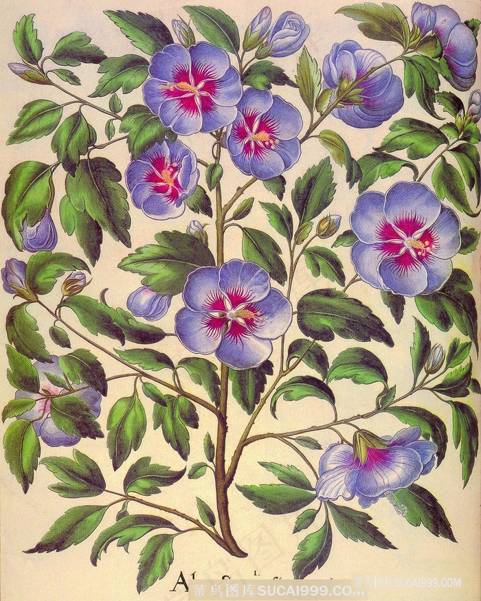 唯美花卉树枝复古艺术油画