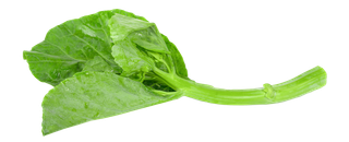 芥蓝 (2)超市商品白底图免抠实物摄影png格式图片透明底