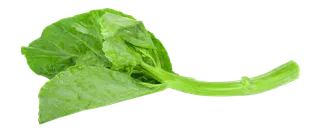 芥蓝 (2)超市商品白底图免抠实物摄影png格式图片透明底