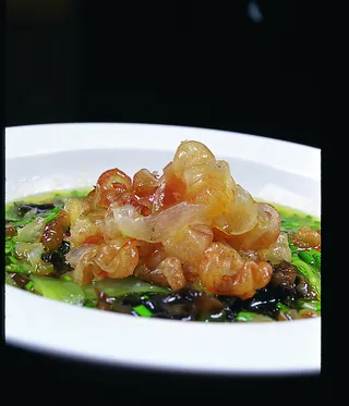 CXC02268韭香水晶鞭花