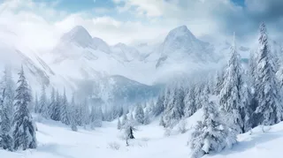 冬日雪景森林山脉摄影图
