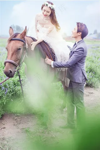 幸福恋人紫色薰衣草婚纱外拍摄影写真