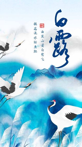 简约白露节气营销活动图片