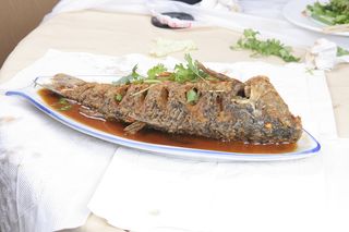 46老烧鱼-吉思克