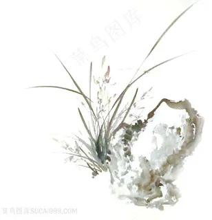 国画风格兰花草图片