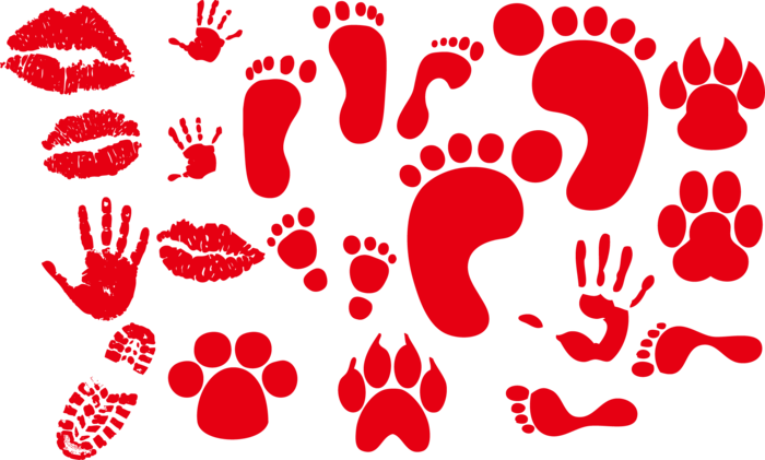 脚印足迹剪影