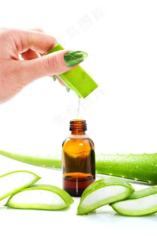 新鲜的芦荟高清图片素材