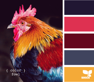家禽鸟类配色色卡色彩搭配