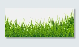 春夏时节青草元素前景装饰免抠素材