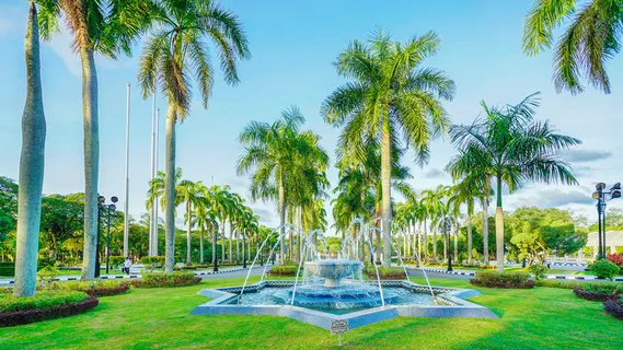 喷泉公园草坪绿化