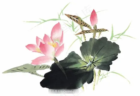 花卉国画欣赏美图素材 花卉国画欣赏美图素材