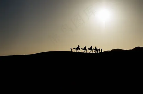 阳光下的沙丘上行走的骆驼剪影 阳光下的沙丘上行走的骆驼剪影