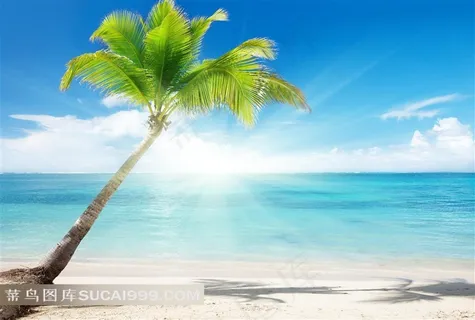 高清海南三亚风景图片 高清海南三亚风景图片
