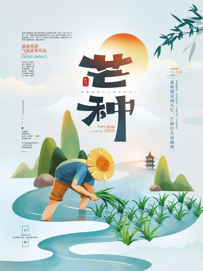 芒种 芒种海报图片psd模版下载