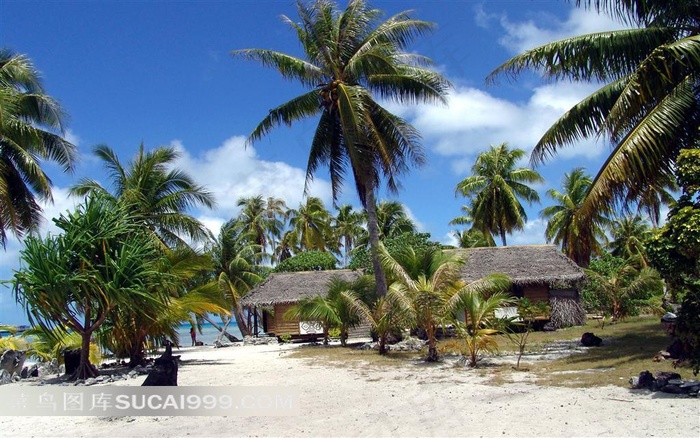 唯美海边风光素材图片