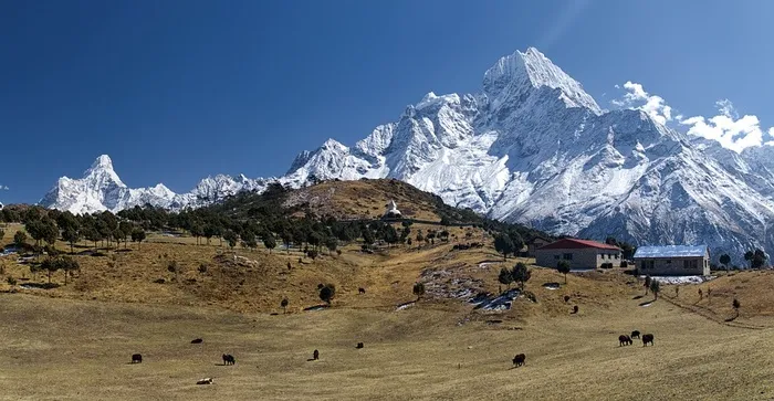 冬天自然背景风景