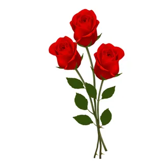 免抠玫瑰花实物摄影图片 免抠玫瑰花实物摄影图片