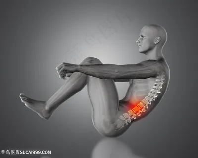 双手抱腿人体腰椎骨骼透视图片人体器官图 双手抱腿人体腰椎骨骼透视图片人体器官图