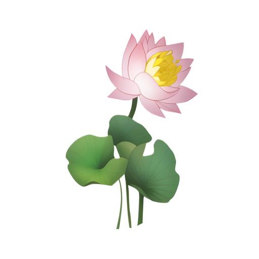 荷花莲花免抠