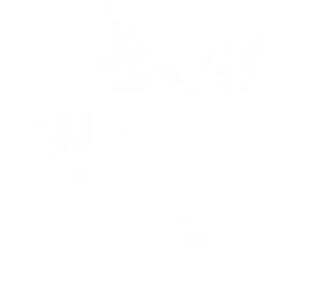 白色雪花 PNG免抠