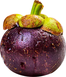 单个山竹完整素材免扣 单个山竹完整素材免扣