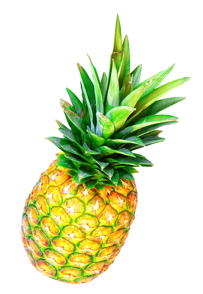 菠萝黄色成熟