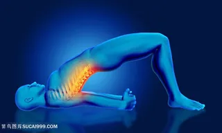 做瑜伽人体结构背部透视图片人体器官图