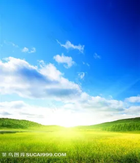 藍天白雲草地 藍天白雲草地