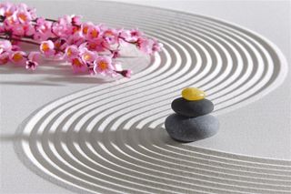 沙滩上的鹅暖石高清图片