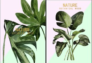 两联热带叶子装饰画