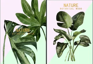 两联热带叶子装饰画