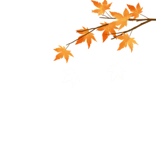秋天枫叶背景元素