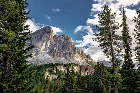美丽的树林和高山 美丽的树林和高山