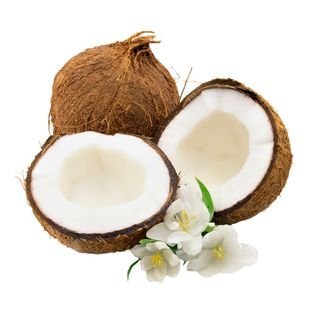 免抠椰子实物摄影图片