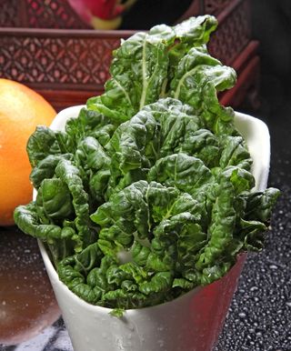 奶白菜火锅配菜美食设计素材