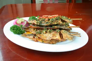 2664香菜烤鲫鱼1