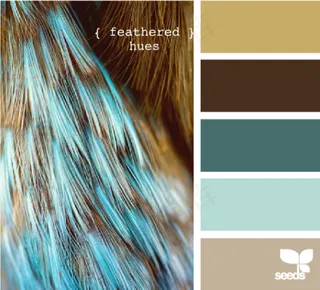 家禽鸟类配色色卡色彩搭配