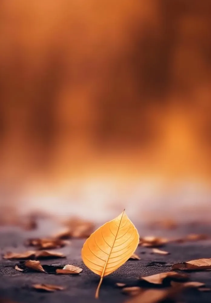 落叶棕黄色大气背景(896x1284)