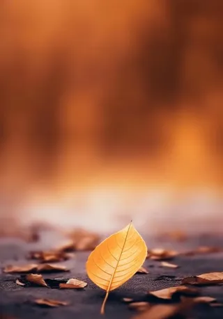 落叶棕黄色大气背景