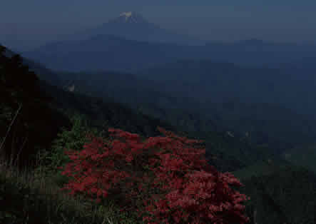 山脉烟花 115