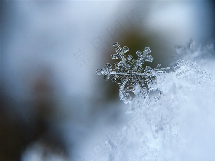 圣诞节的晶莹剔透雪花特写