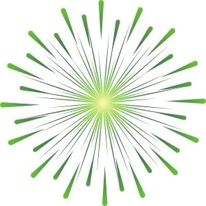烟花 PNG免抠(300x300)