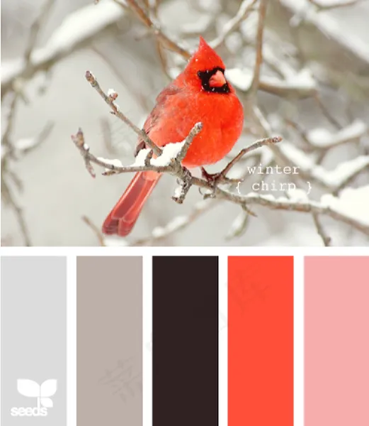 冬天系配色色卡色彩搭配