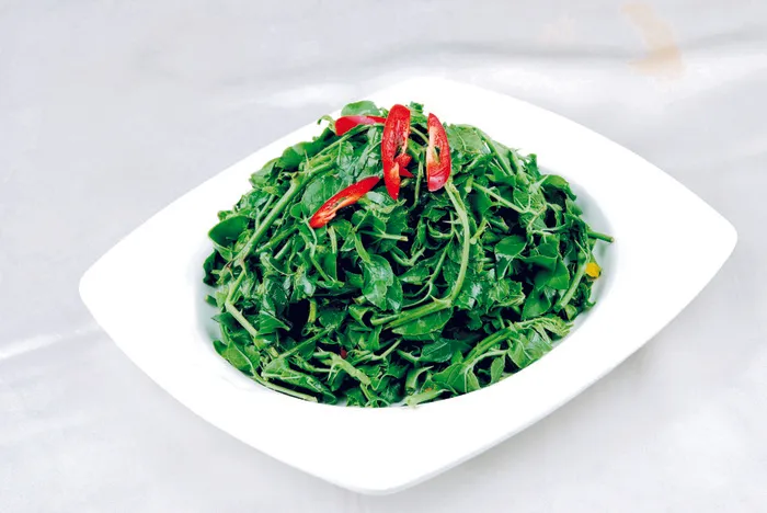 95LC-263凉拌山野菜