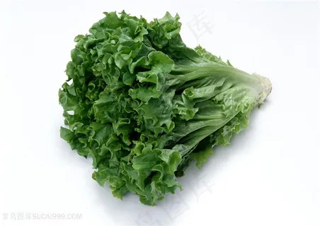 新鲜蔬菜高清素材图片 新鲜蔬菜高清素材图片