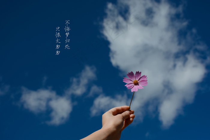 水彩 花草 植物 叶子 夏季 手绘