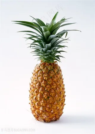 可口水果菠萝高清图片