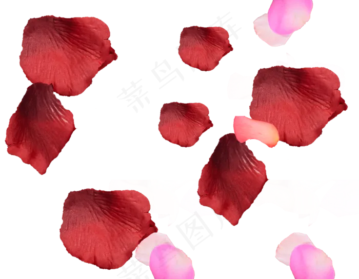 花瓣花朵免扣图片 