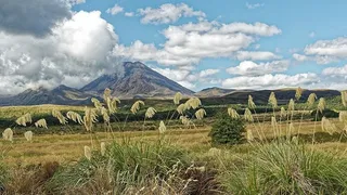 冬天自然背景风景